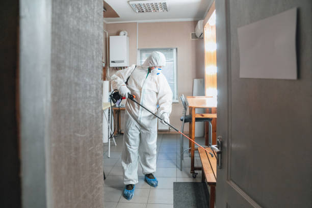 Professional Mold Removal in Kohler, WI